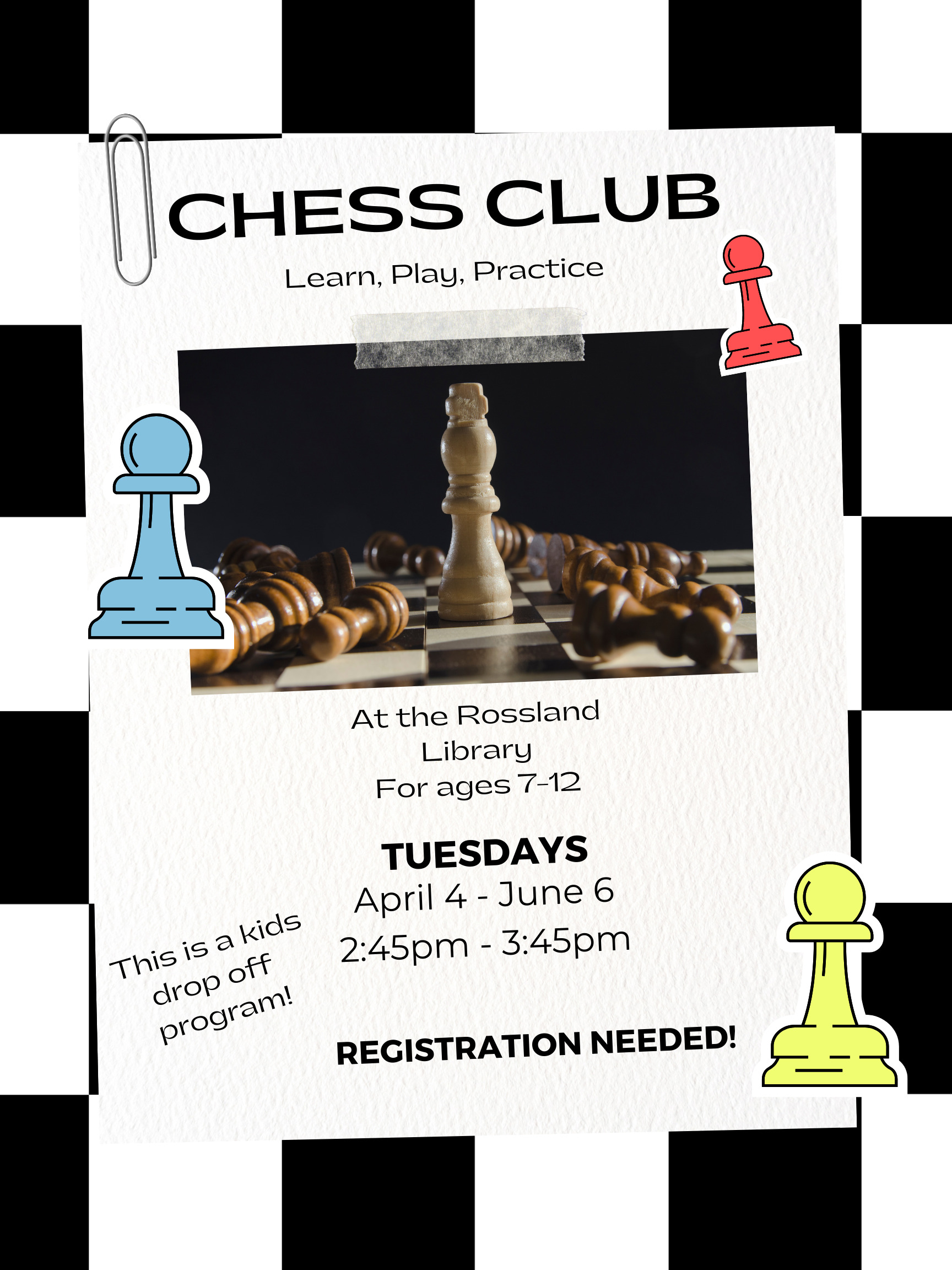 Library Chess Club  Programming Librarian